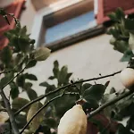 La Maison Perchée *